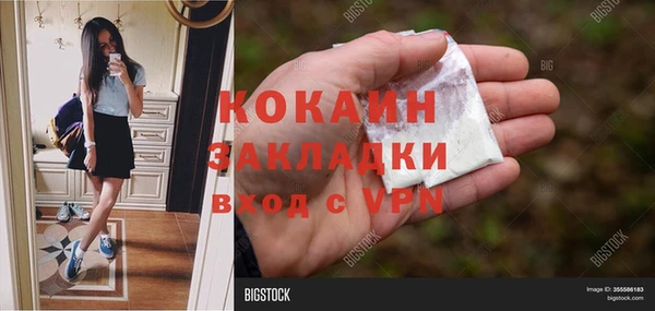 сатива Кукмор
