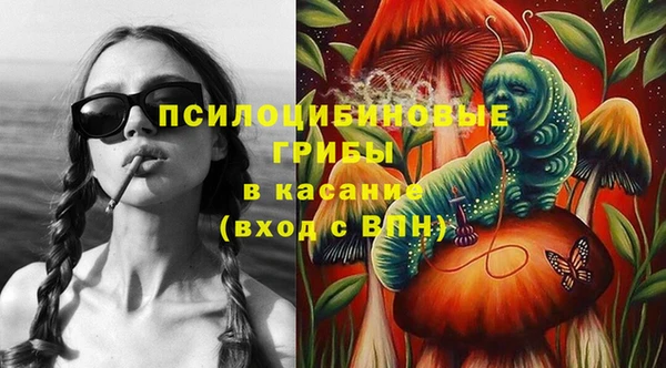 стаф Кулебаки