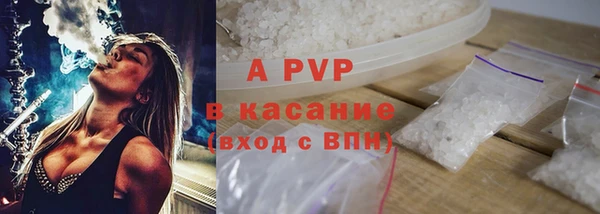 стаф Кулебаки