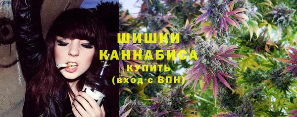сатива Кукмор
