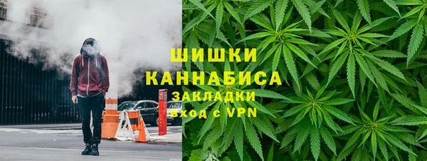 стаф Кулебаки