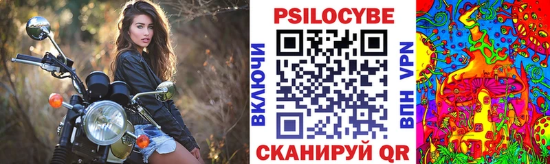 где купить   Химки  Псилоцибиновые грибы Psilocybine cubensis 